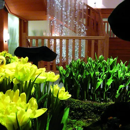 Hotel Royalp Hôtel&spa 5*