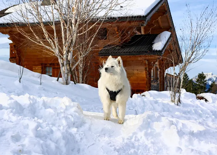 ロイヤルプ ＆ スパ 5*